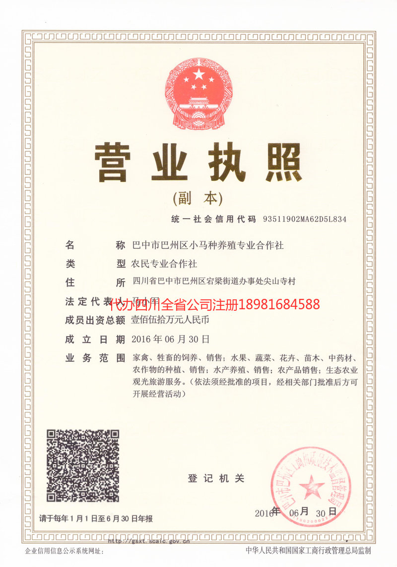 雷州雷州小马种养殖专业合作社